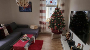 Ferienwohnung Berg mitten im Erzgebirge